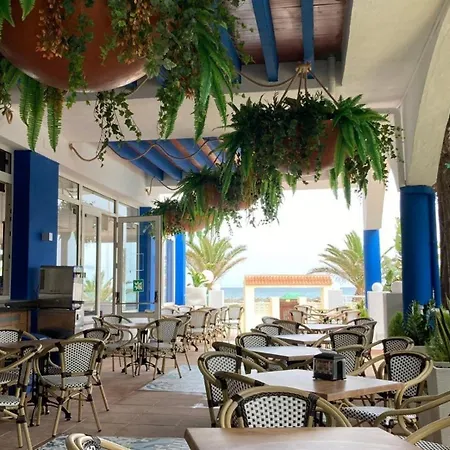 Evenia Zoraida Garden-3